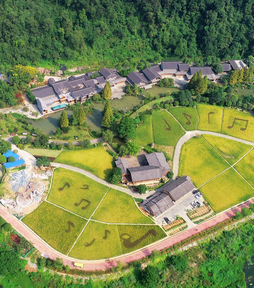 6165cc金沙总站(China)检测有限公司-BinG百科